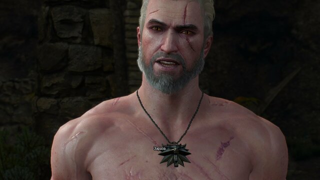 witcher3 2021-08-16 23-03-58-22.jpg