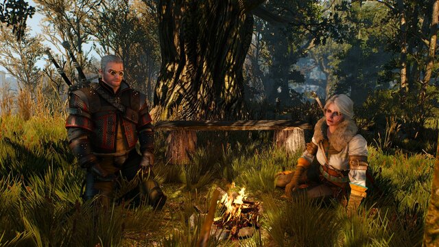 witcher3 2021-08-23 22-40-49-99.jpg