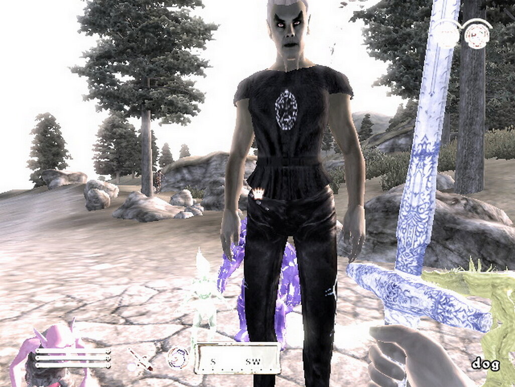 dog female follower Rus