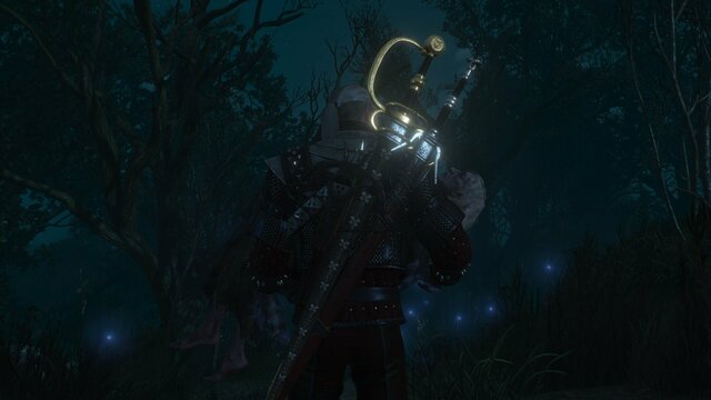 witcher3 2021-08-28 13-42-26-75.jpg