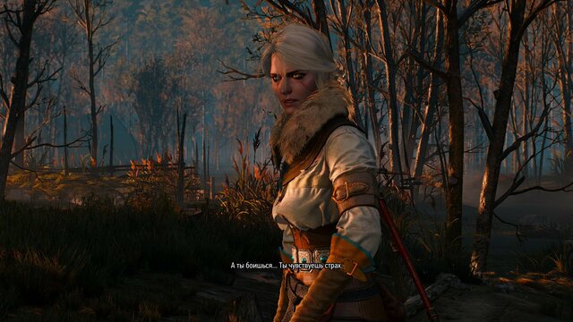 witcher3 2021-08-23 22-43-29-04.jpg
