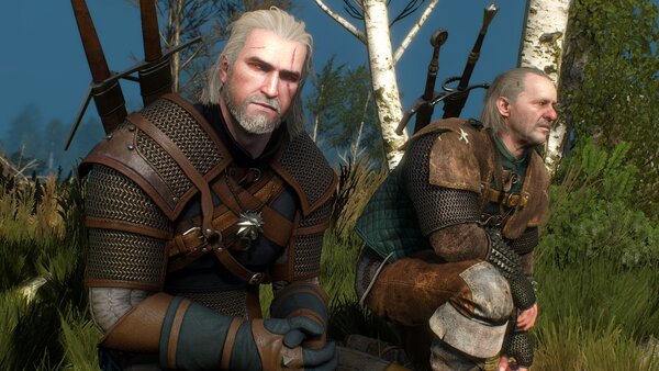 witcher3 Пасут грифона