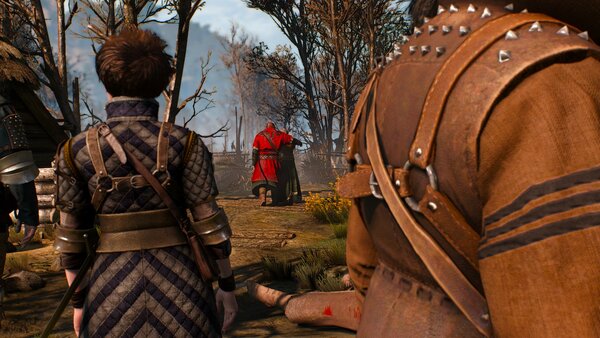 witcher3 Конец истории с бароном