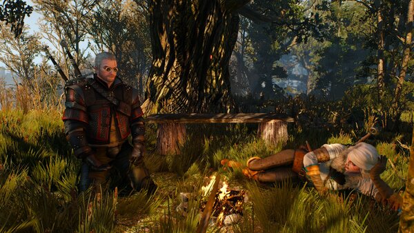 witcher3 Привал