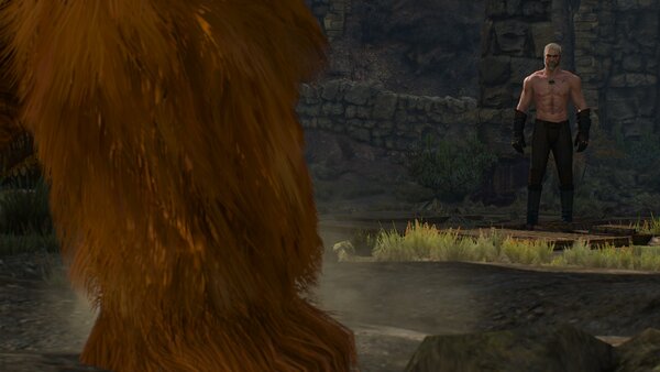 witcher3 Зараза