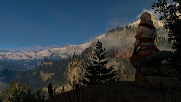 witcher3 Цири вернула медальон