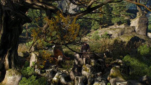 witcher3 Подношение духу леса