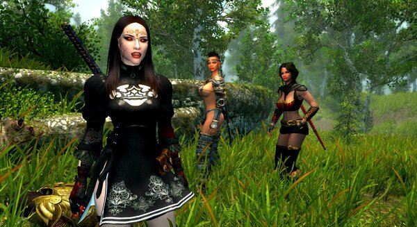 Талморец пал от вампирского очарования ))