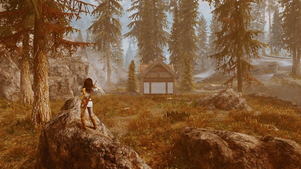 Дарклинг набрела на домик в лесу.