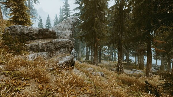 Где-то в Фолкрите.. SkyrimSE (сборка 6.0)