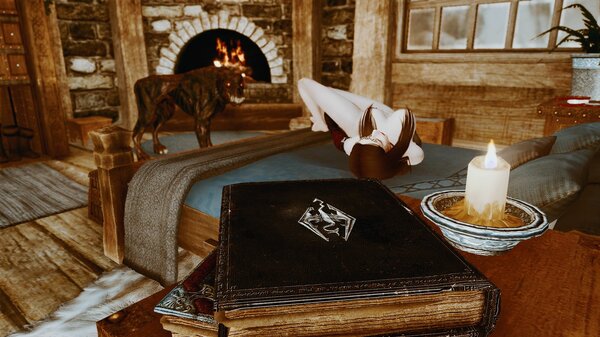 Чтиво на ночь, или... SE (сборка 6.0)