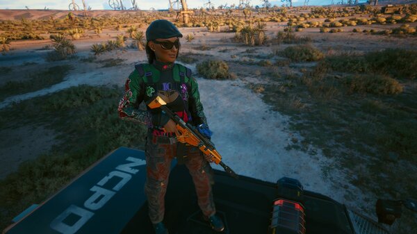 С грузовика неплохо видно в пустыне..