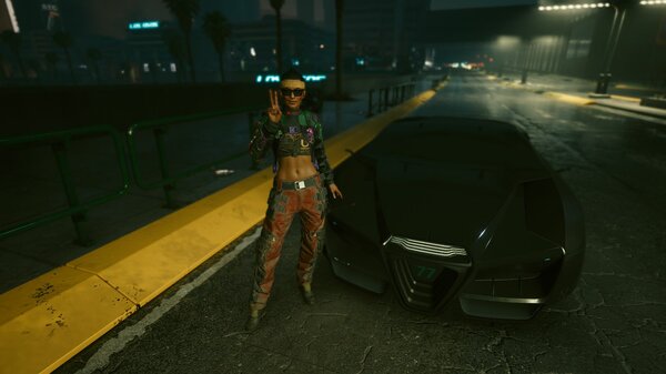 С черной пташкой.. Cyberpunk 2077