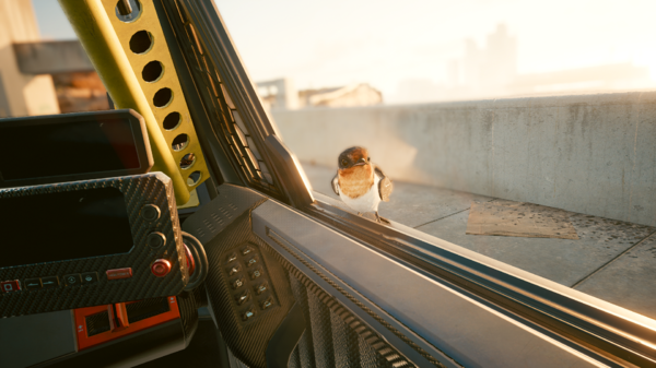 Удивлённый Ви:-"О - живая птичка?!".