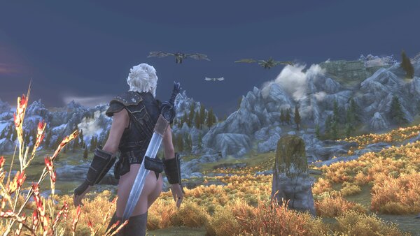 TESV Опаньки, атака с воздуха