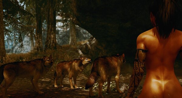 Средь волков.. SkyrimSE (сборка 6.0)