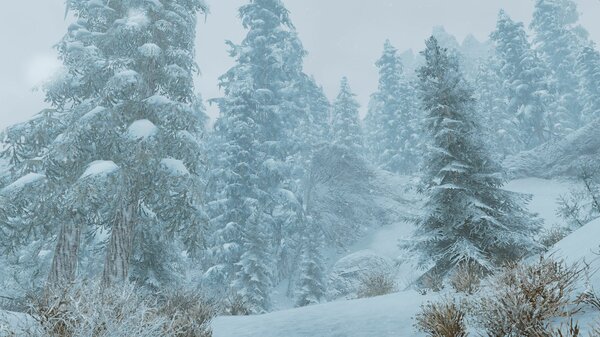 Снежный пейзаж.. SkyrimSE (сборка 6.0)
