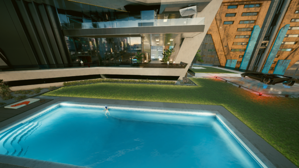 Ви купается в бассейне, а Бестия не захотела.