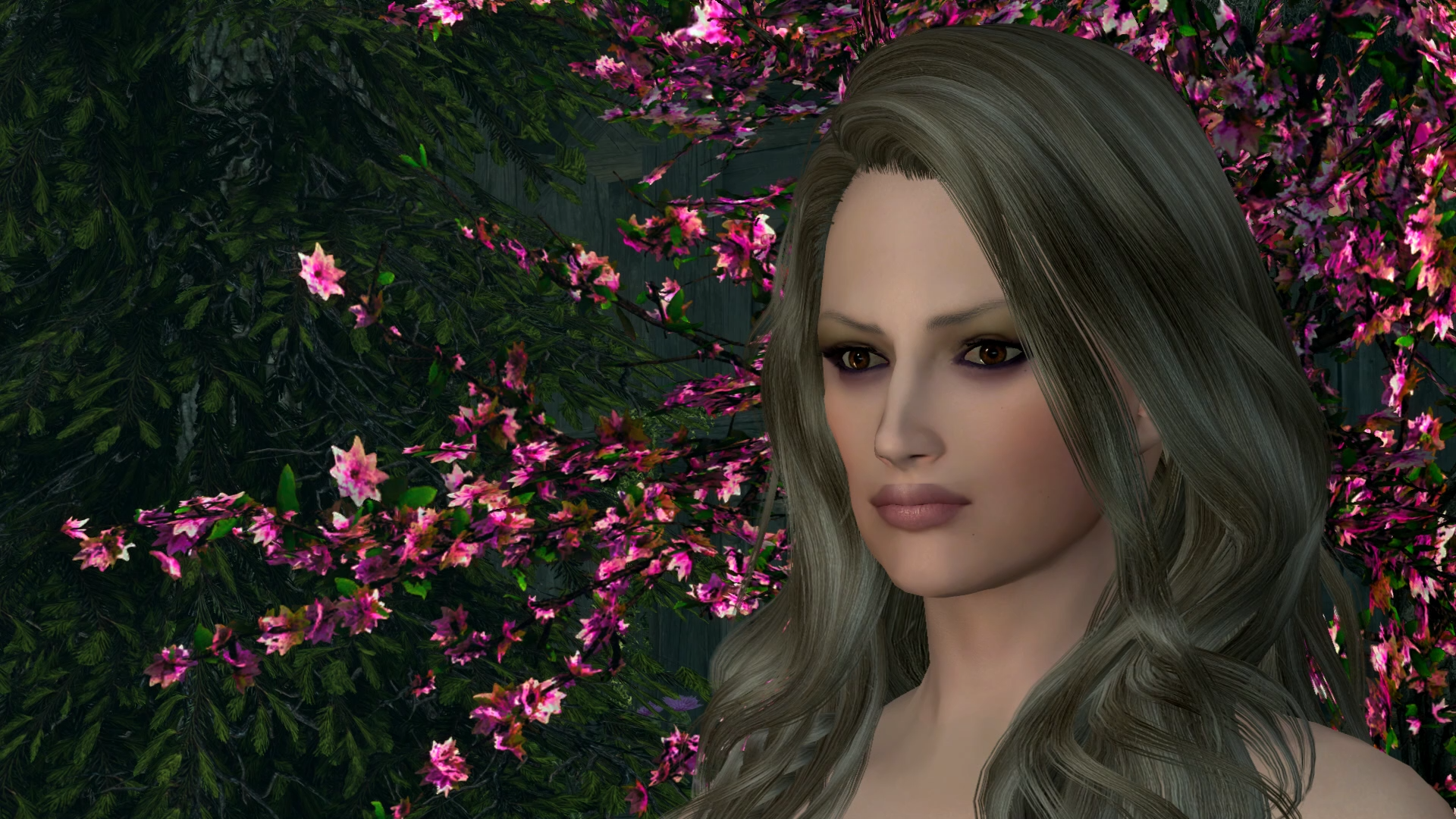 The Elder Scrolls V Sexrim SE 7