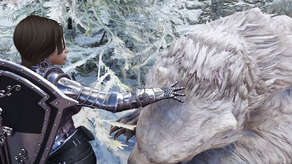 TESV Хороший мишка