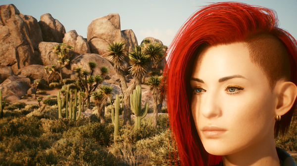 Patrolling the Mojave, almost makes you wish for a nuclear winter.