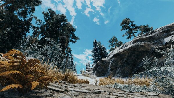 Скайримская дорога.. Skyrim SE (сборка 7.0)