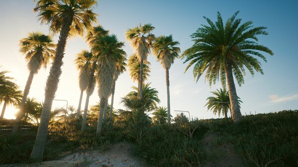 Пальмы.. Cyberpunk 2077