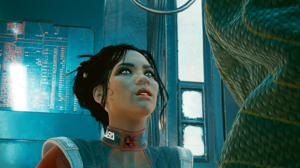 Вопросительный взгляд Панам.