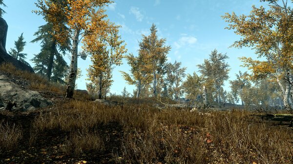 enb 2021_11_21 17_55_35_67.jpg