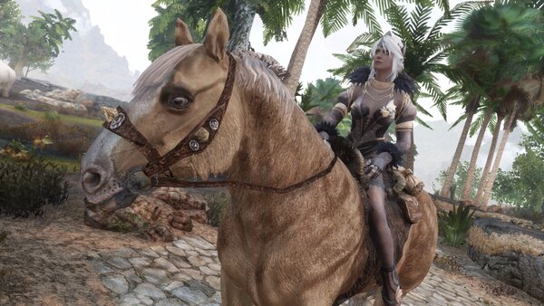 TESV Цири решила развеяться