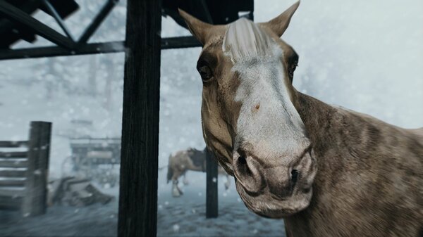 В конюшнях Виндхельма.. Skyrim SE (сборка 7.0)