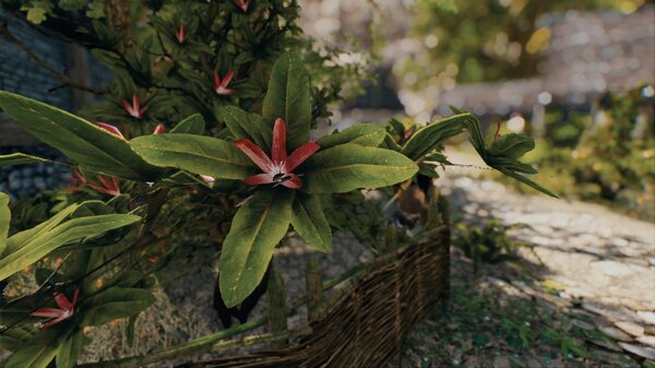 Цветение.. Skyrim SE (Тропики 7.0)