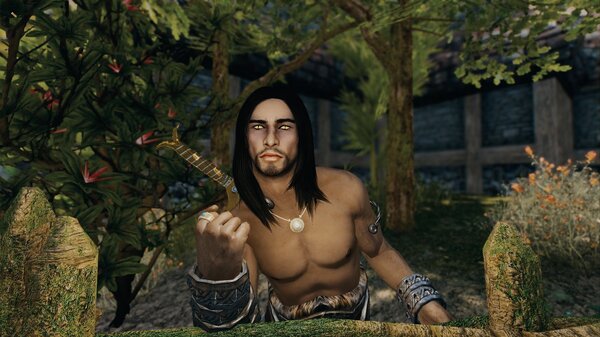 Эйран у забора.. Skyrim SE (Тропики 7.0)