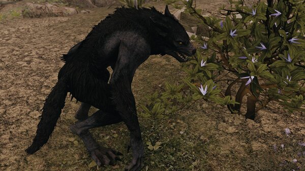 Дориана волчихой любит нюхать цветения..