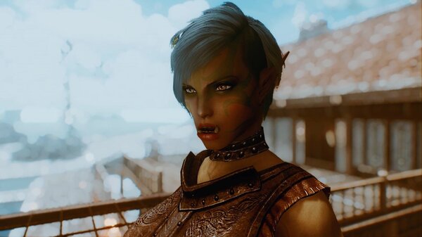 ТИФИ на дачке. SkyrimSE (сборка 6.0)