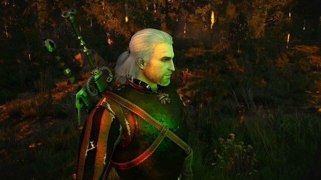 witcher3 2021-12-20 22-05-36-95.jpg