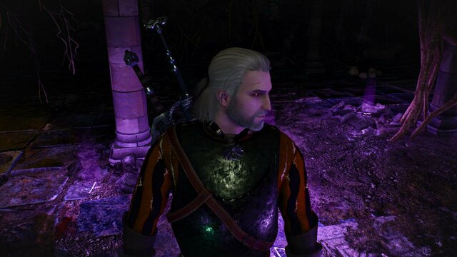 witcher3 2021-12-20 22-11-47-97.jpg