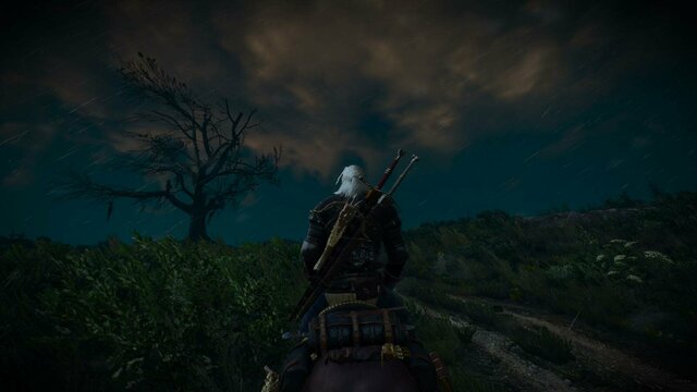 witcher3 2021-12-24 01-21-57-62.jpg