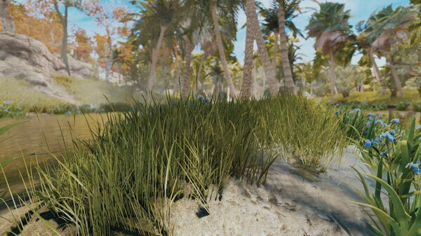 ПЕЙЗАЖ.. Skyrim SE (Тропики 7.0)