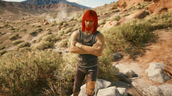 В пустынных землях..