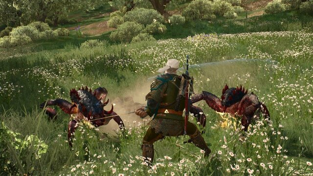 witcher3 2022-01-15 17-43-34-81.jpg