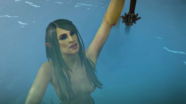 witcher3 2022-01-25 21-03-11-58.jpg