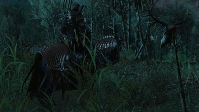 witcher3 2021-12-25 22-29-55-41.jpg