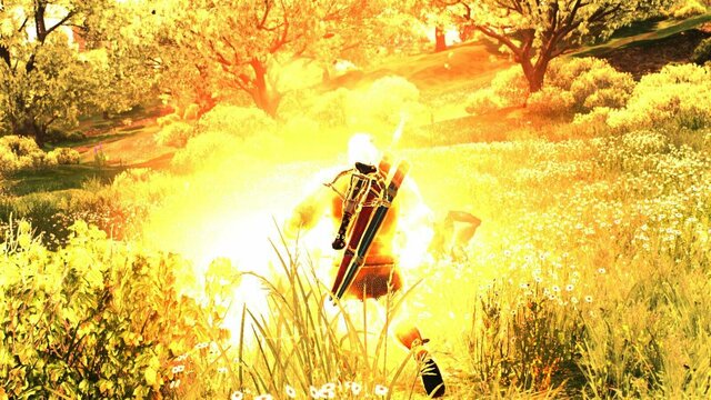 witcher3 2022-01-15 17-43-33-47.jpg