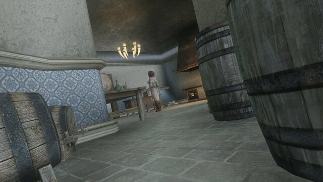 TESV 2022-01-21 18-10-11-74.jpg