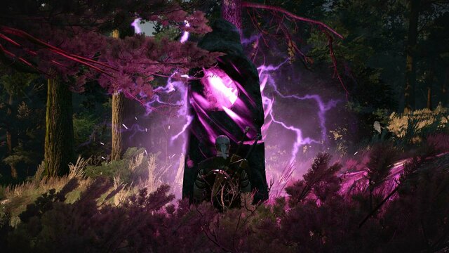 witcher3 2021-12-31 00-01-13-74.jpg