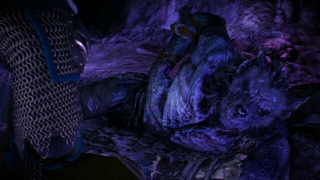 witcher3 2022-01-11 23-31-52-84.jpg