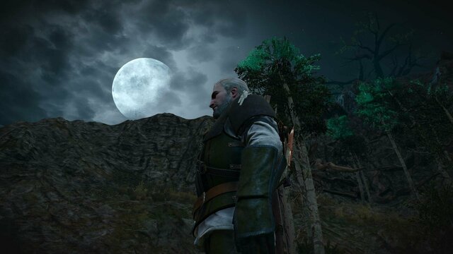 witcher3 2021-12-26 21-56-57-71.jpg