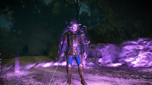 witcher3 2022-01-24 21-41-23-49.jpg