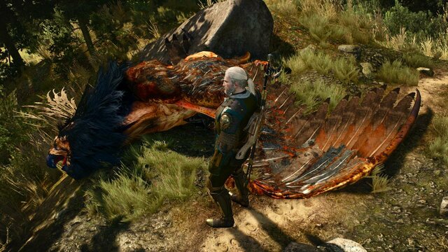 witcher3 2022-01-09 00-54-19-64.jpg